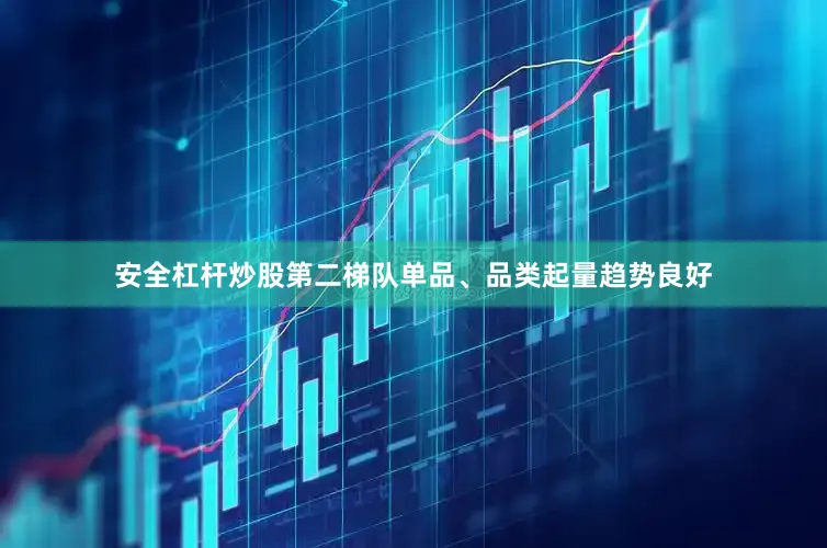 安全杠杆炒股第二梯队单品、品类起量趋势良好