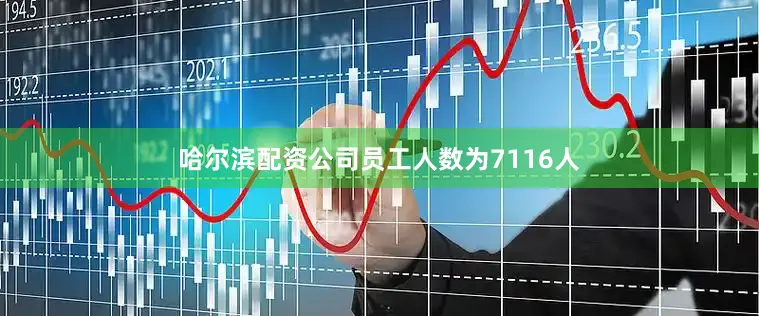 哈尔滨配资公司员工人数为7116人