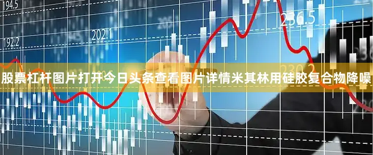 股票杠杆图片打开今日头条查看图片详情米其林用硅胶复合物降噪