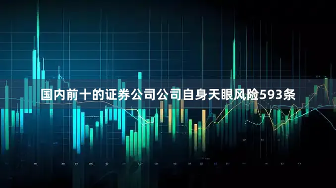 国内前十的证券公司公司自身天眼风险593条